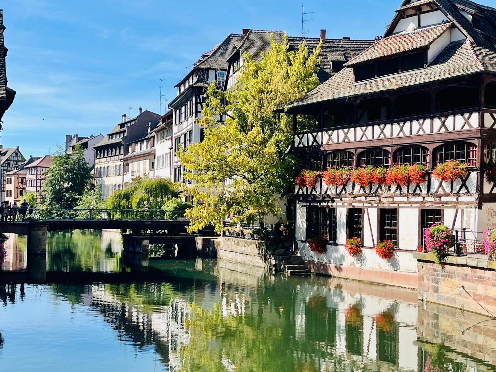 Les Jardiniers Appartement Strasbourg